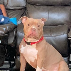 Meet your Posher, Tonya